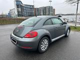 Volkswagen Beetle Design 1.Hand Komfort-Paket - Volkswagen Beetle: Kleinwagen