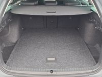 Skoda Octavia - Vorschau Bild 14
