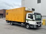MAN TGL 12.250 Tiefkühlkoffer 6m LBW  E6 Klima Autom - MAN Stuttgart