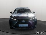 Lexus UX 300h F-Sport Design SHZ KAMERA NAVI ACC LED - Lexus UX: F Sport Design