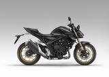 Honda CB1000 Hornet SP  #2025