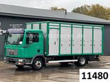 MAN TGL 8.180 4x2 Köstner 1.Stock Viehaufbau