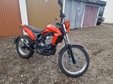 Beta Alp 4.0 - BETA ALP