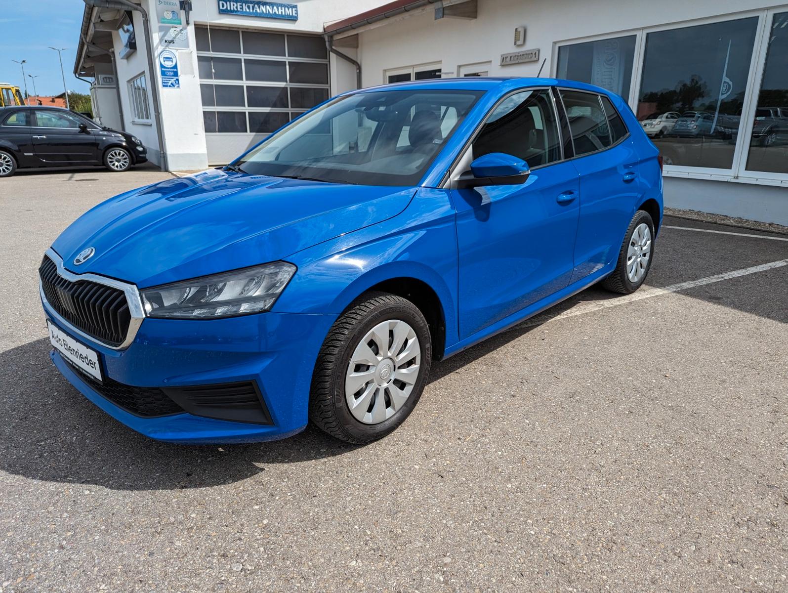 Skoda Fabia Active Klima,Tempomat,DAB,Ganzjahresreifen