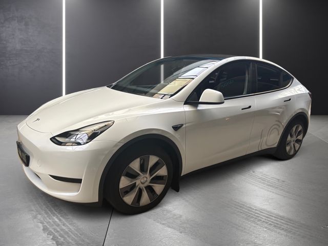 TESLA Model Y Basis RWD