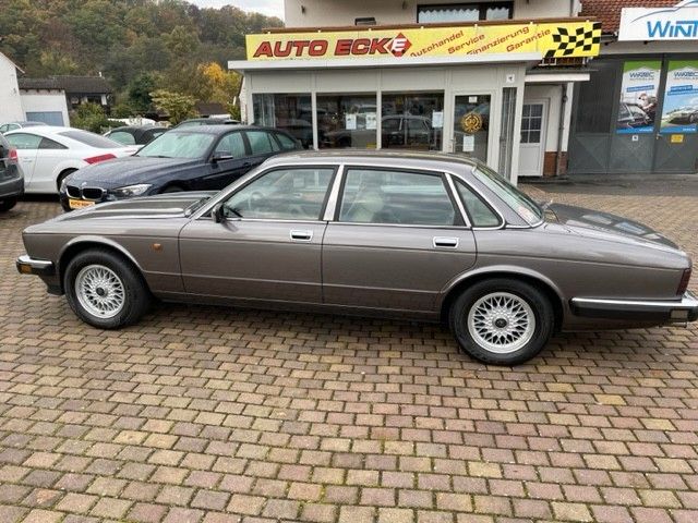 Jaguar XJ40 Leder Klima H-Kennz Top Gepflegt