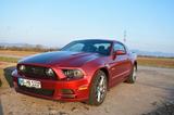 Ford Mustang GT  5.0 - Ford Mustang in Ludwigshafen