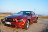 Ford Mustang GT  5.0 - Ford Mustang in Mannheim