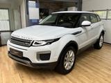 Land Rover Range Rover Evoque AWD/Pure/Pano/Leder/Navi - Land Rover Range Rover Evoque: Pure