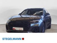 Audi SQ5 - Vorschau Bild 1