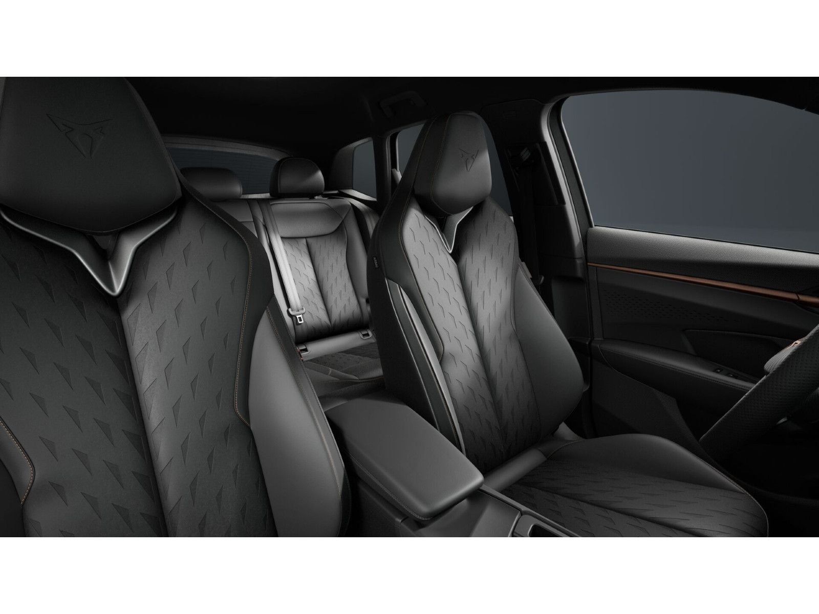 Cupra Terramar - Bild 5