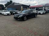 Mercedes-Benz E 250 CDI T 4Matic Avantgarde ILS NAVI SCHIEBED - Mercedes-Benz E 250: Cdi