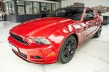 Ford Mustang 3,7 V6 LEDER XENON ALU - gebrauchte Ford Mustang aus dem Jahr 2013