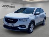 Opel Grandland Elegance 1.2l +AHK+LED+KAMERA+ALLWETTE - Opel Grandland (X) elegance mit Benzin-Antrieb
