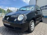 Volkswagen Lupo Comfortline/HU/AU NEU /KLIMA/INSP NEU - Volkswagen Lupo: Comfortline