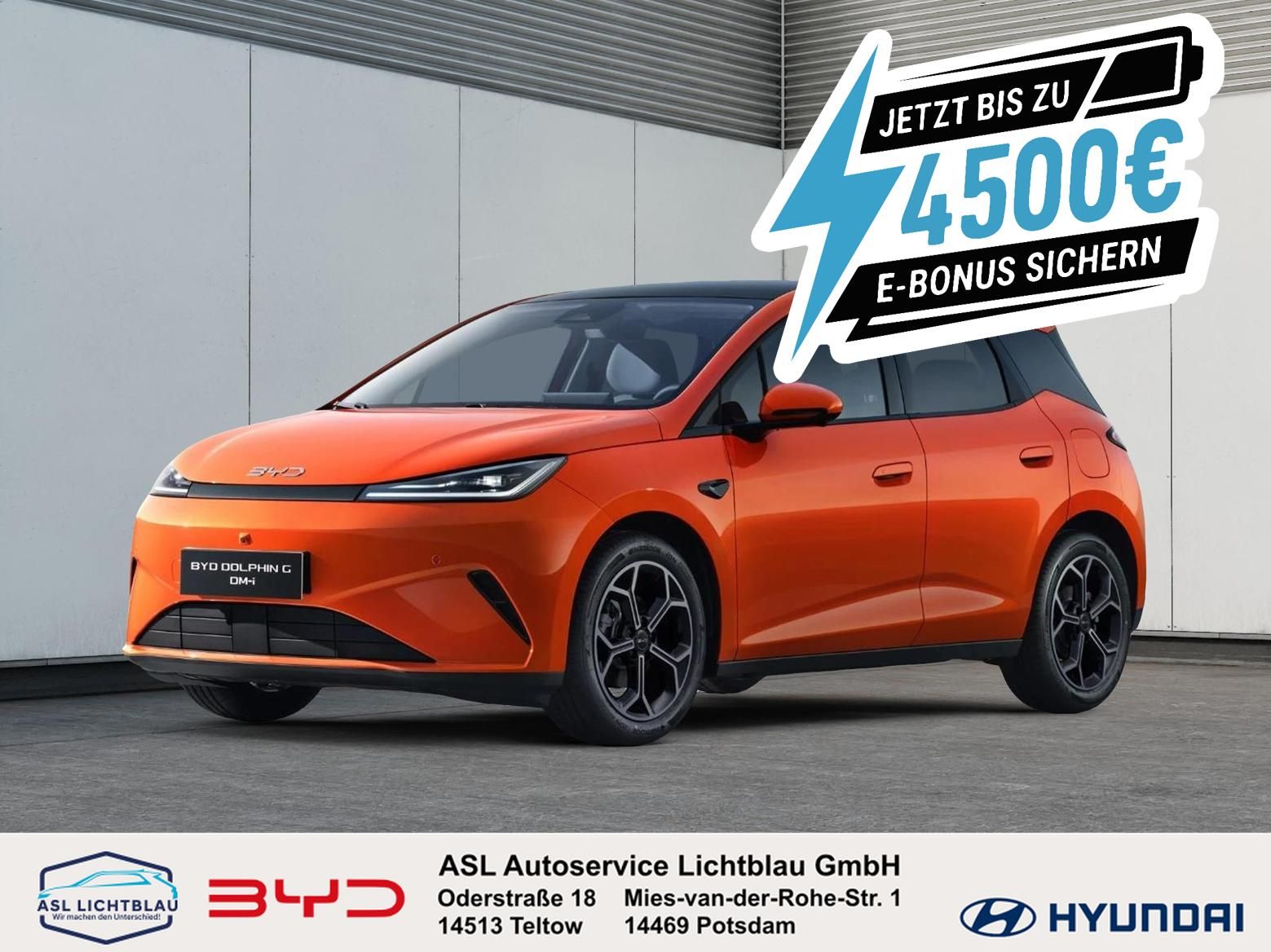 BYD DOLPHIN
