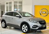 Opel Grandland X Inno/AHZV/Navi/Kam/Sitzh/Lenkhzg/LED - Opel Grandland (X) Gebrauchtwagen in Dresden