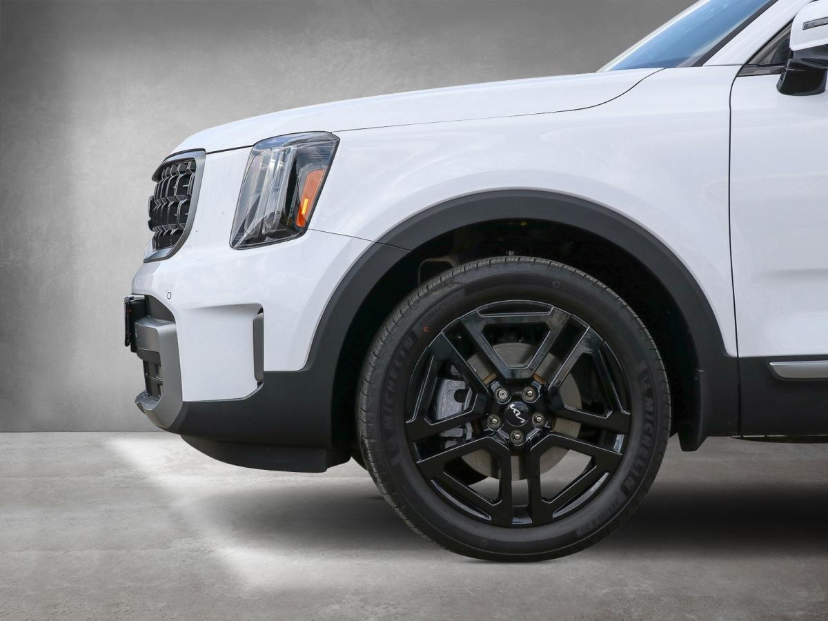 Kia Telluride X Line AHK/Sitzlüftung+heizung/Kamera