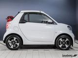 Smart ForTwo Cabriolet EQ Passion LED/22 kW/JBL/Kamera - gebrauchte Smart ForTwo aus dem Jahr 2024