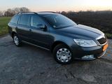 Skoda Oktavia 4x4 Allrad - Skoda: Oktavia