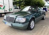 Mercedes-Benz W124 220 Cabrio Gottlieb, ... - Mercedes-Benz 220: Cabrio