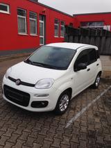 Fiat Panda More - Fiat Panda Gebrauchtwagen in Nürnberg