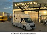 Citroën Jumper 3 - Sitzer PFERDETRANSPORTER - Tier-/Pferdetransport 3 pferde