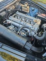 Alfa Romeo Spider - Alfa Romeo aus 1979