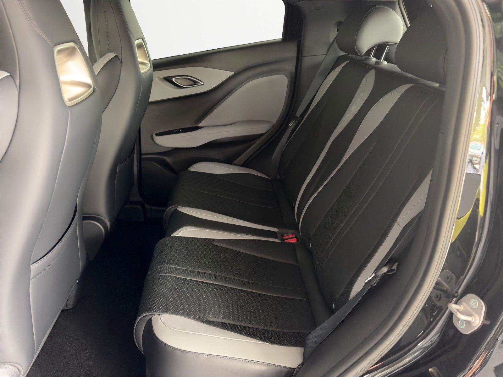 BYD DOLPHIN SURF