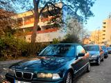 BMW E36 318i Cabrio 98 Rostfrei neuer Ölse... - BMW 318: Cabrio, 318i E36