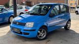 Fiat Panda1.1 8VActive*5-Türer*Alus*E-Fen/Spi*Servo* - Fiat Panda Gebrauchtwagen in Düsseldorf