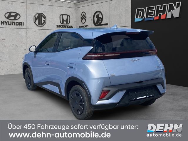 BYD Dolphin Surf Active