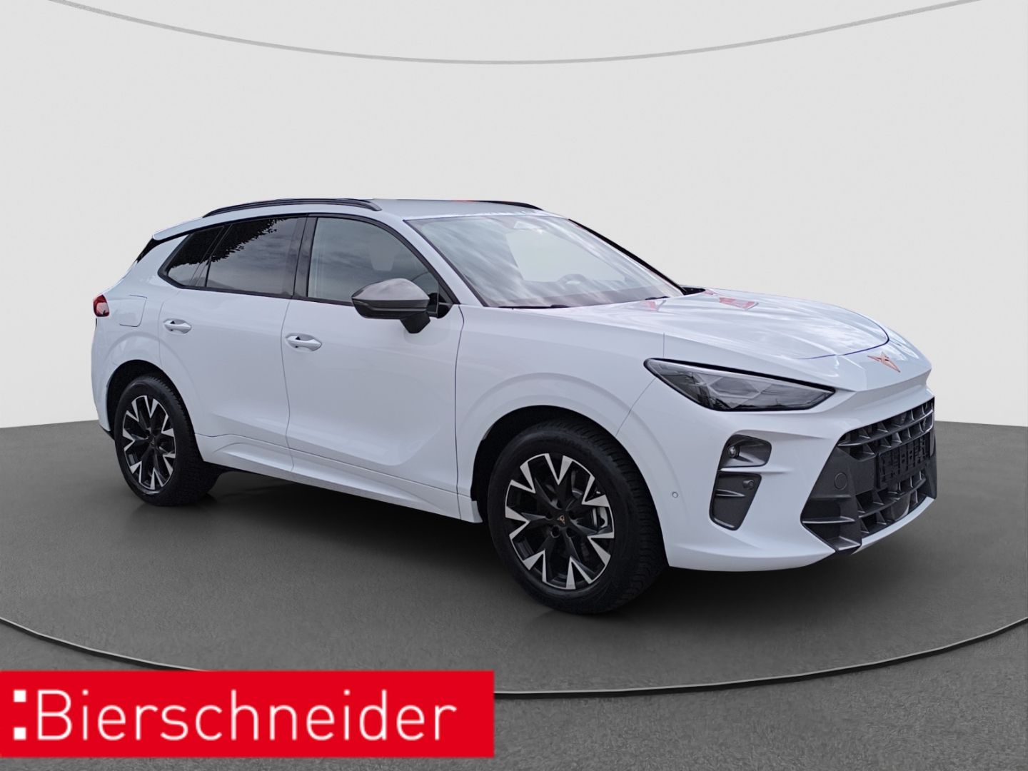 Cupra Terramar - Bild 3