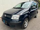 Fiat Panda 1.2 8V Dynamic Aut. *5-TÜRER*KLIMA* - Fiat Panda: 5.5