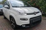 Fiat Panda Sport Hybrid - Fiat Panda Sport mit Benzin-Antrieb