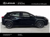 Lexus UX 200 Launch Edition Navi RFK 15 Jahre Relax Ga - Lexus UX aus 2019