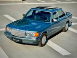 Mercedes-Benz SE 20.632 Euro an Rechnungen in den Jahr 23-24 ! - Mercedes-Benz 300 Oldtimer