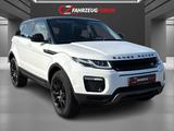 Land Rover Range Rover Evoque SE AWD Pano*Leder*DAB+ - Land Rover Range Rover Evoque mit Panoramadach