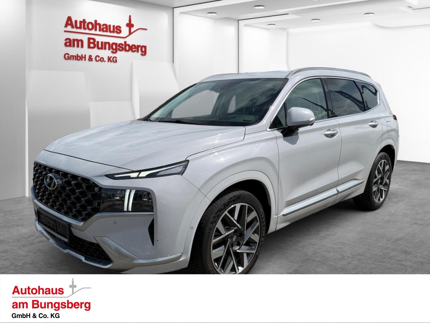 Hyundai SANTA FE 2.2 CRDi Signature 4WD Leder Navi AHK