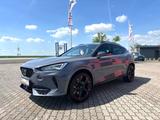 Cupra Formentor VZ*Aut.*Panorama*ab 4,99%* - Cupra Formentor in Halle