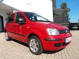 Fiat Panda 1.2 8V Classic*Klima*Euro 5*Top-Zustand* - Fiat Panda aus 2012