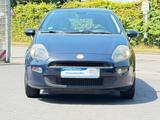 Fiat Punto 1.2 More CityServo-Klima-Navi-TÜV NEU- - Fiat Punto: Blau