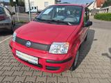 Fiat PANDA*1.1*8V*ACTIVE*ORG:70.000TKM*ZR+WP NEU* - gebrauchte Fiat Panda aus dem Jahr 2007