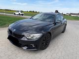 BMW 420 Gran Coupé M Sport Paket *Harman&Kardon* - BMW 420 Gran Coupé aus 2014