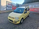 Fiat New Panda 1.2 8V Dynamic - Fiat New Panda Gebrauchtwagen