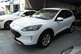 Ford Kuga Plug-In Hybrid Automatik AHK erst 59.700 KM - Ford Kuga: 7