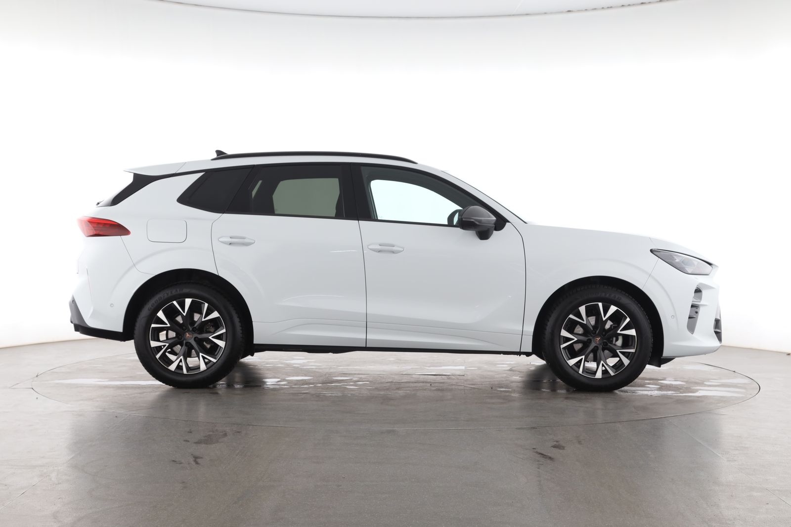 Cupra Terramar - Bild 5