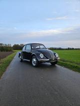 Volkswagen VW Käfer 1200 Mexico  Original & mit H-Zu... - Volkswagen: Sportwagen, Kaefer