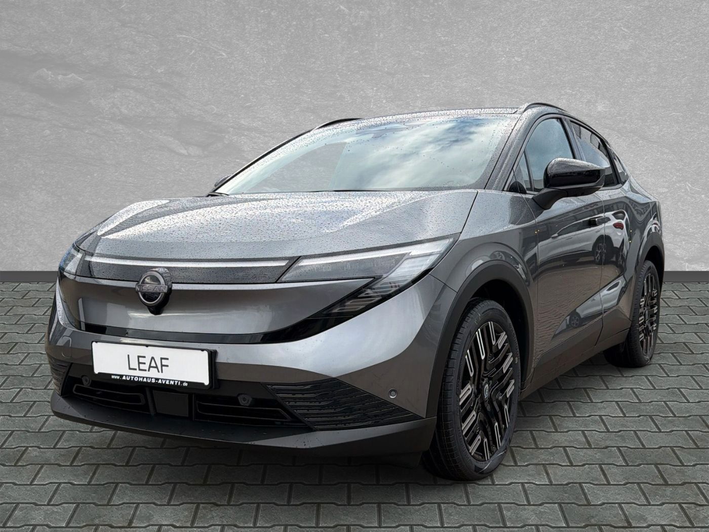 Nissan Leaf Evolve 75 kWh *Bose*19''*Pano*360°*