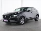 Mazda CX-30 AWD ACC|Head-up|BOSE|LED|Navi|Kamera|SHZ - Mazda CX-30 Gebrauchtwagen in Frankfurt